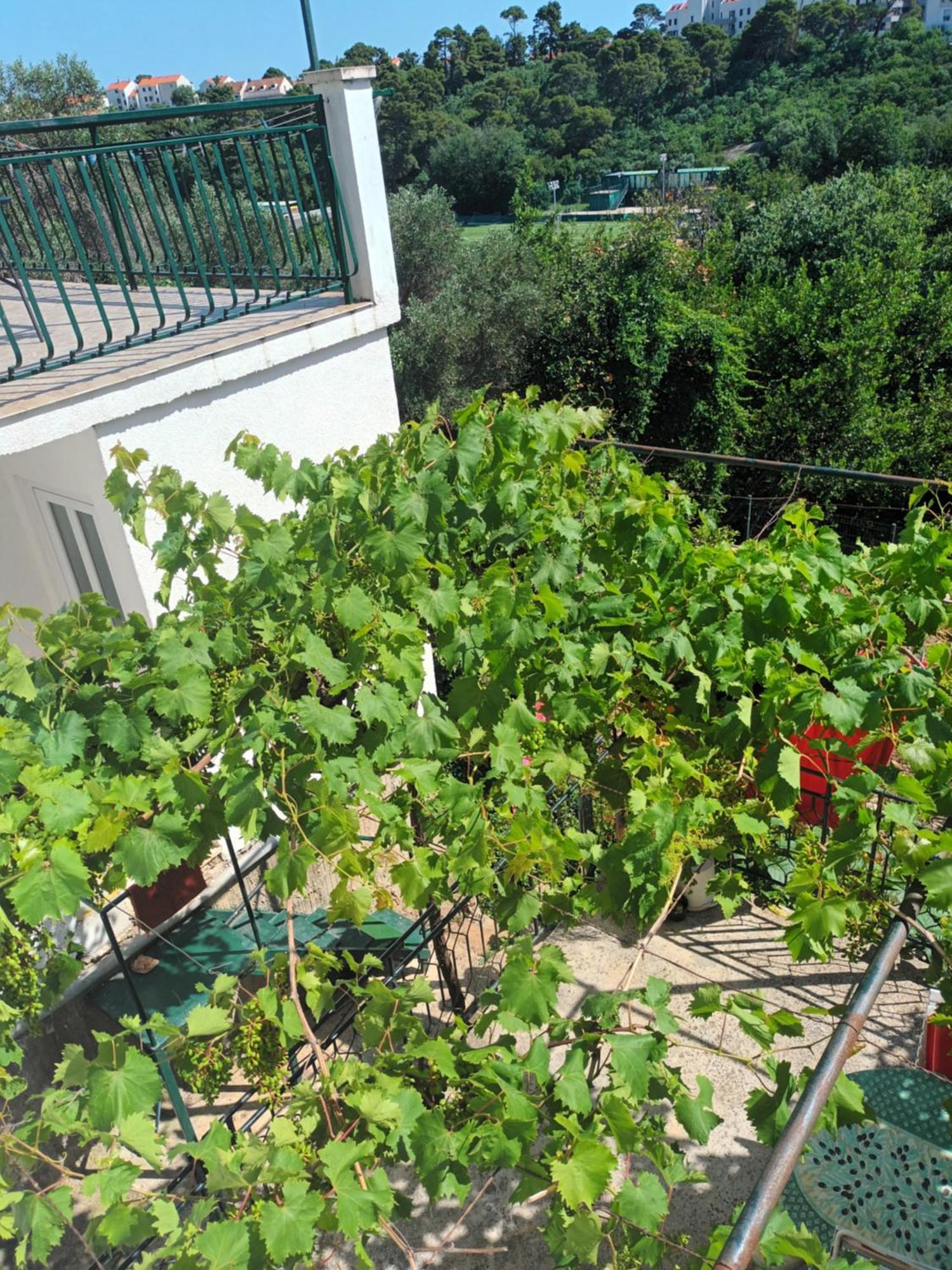 Jo Appartement